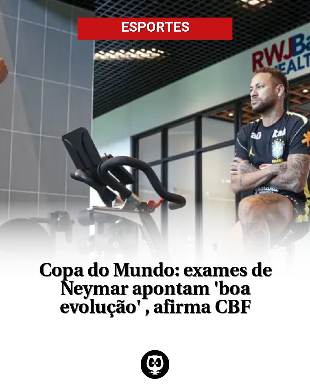 Template de Feed 3